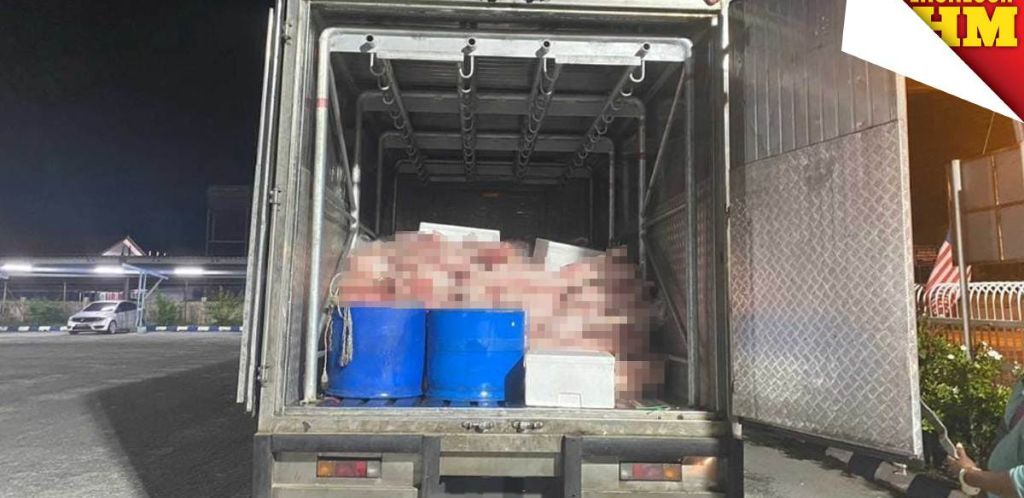 走私网络现形:拿督斯里幕后操控生猪肉走私,借船只穿越泰马边界