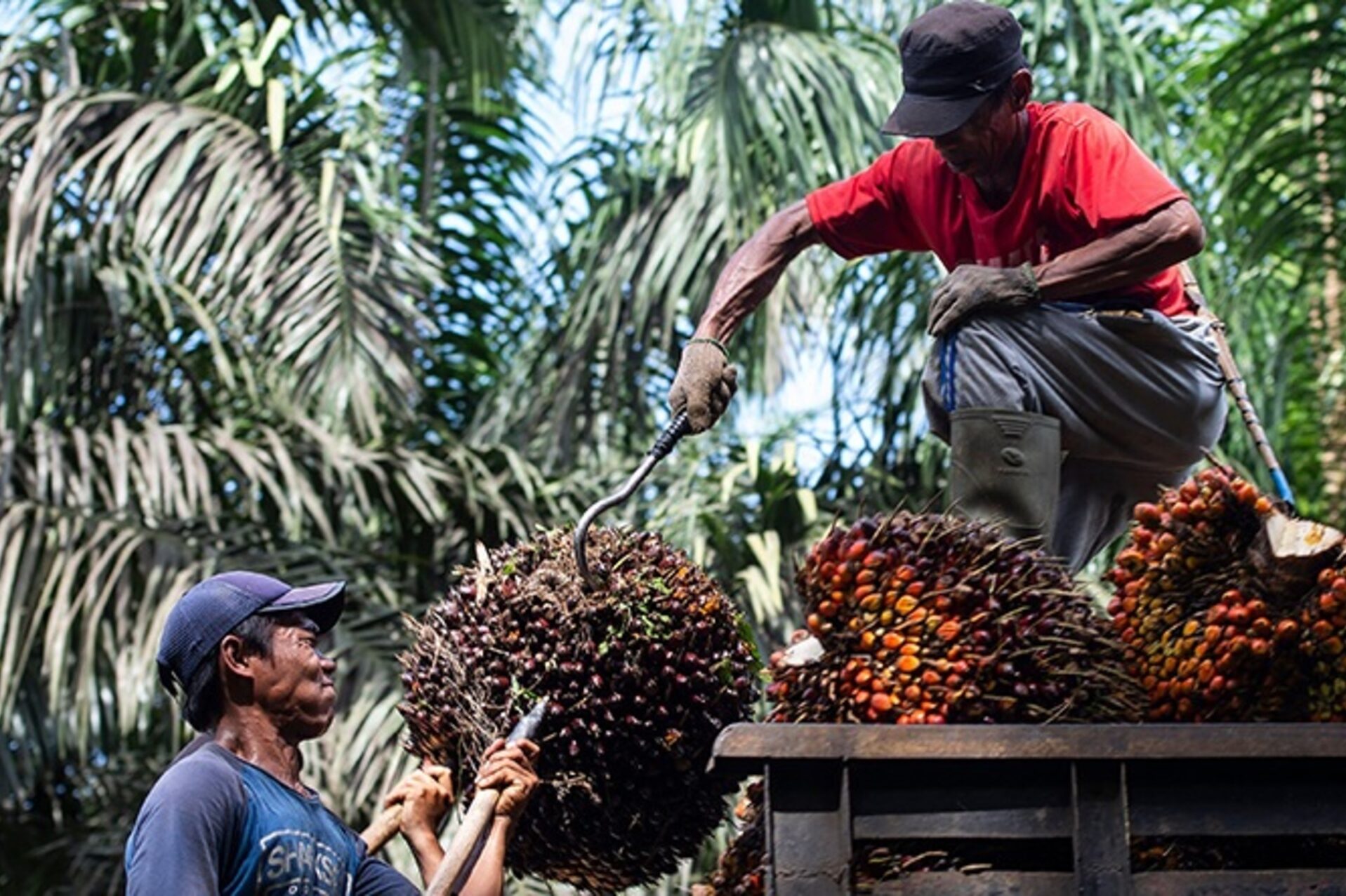 美马降税协定如何强化出口竞争力与产业升级