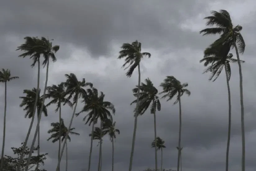 11月大马人一定要懂的事