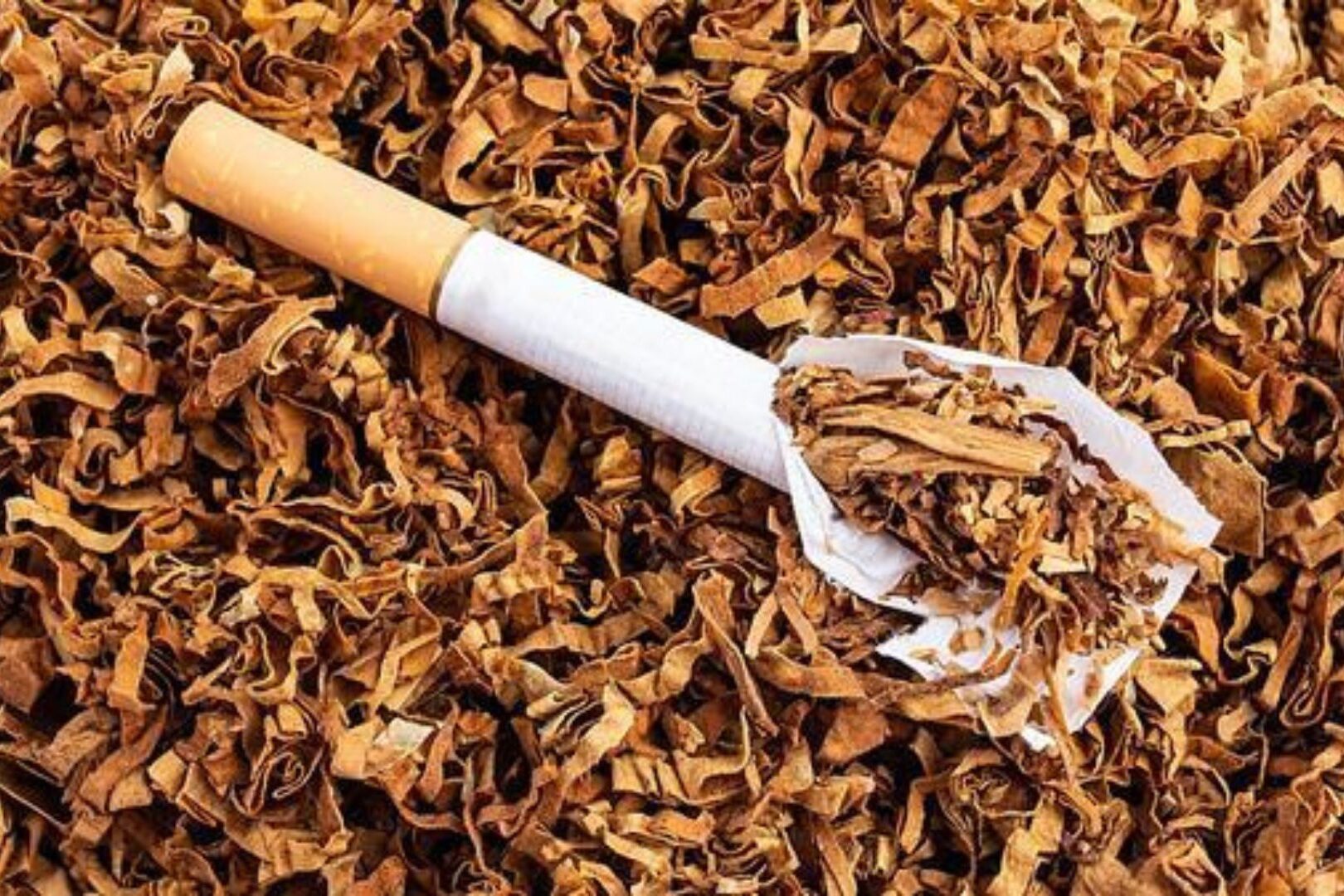 社会节奏与信息更新|让变化成为行动指南