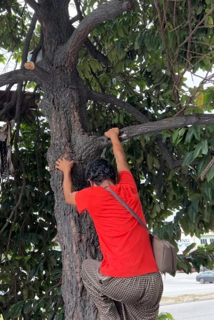 吉隆坡男子因经济困难长期树上居住
